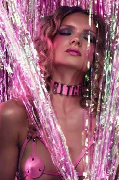 VoyeurX BITCH Leather Collar Toys & Accessories 19 VoyeurX BITCH Leather Collar Toys & Accessories