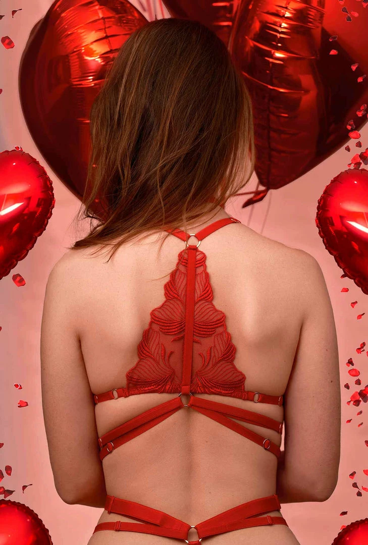 Impudique Bijou Red Lingerie Set Lingerie Sets 7 Impudique Bijou Red Lingerie Set Lingerie Sets