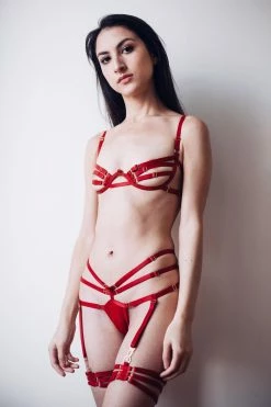 Colette & Sebastian Lingerie Sets Barbara Mimi Bondage Lingerie Set