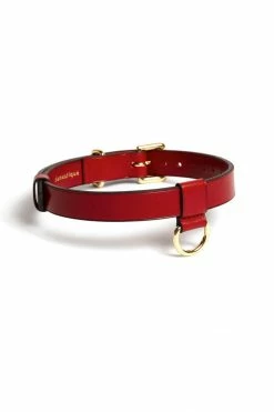Domestique Toys & Accessories D-Ring Leather Choker