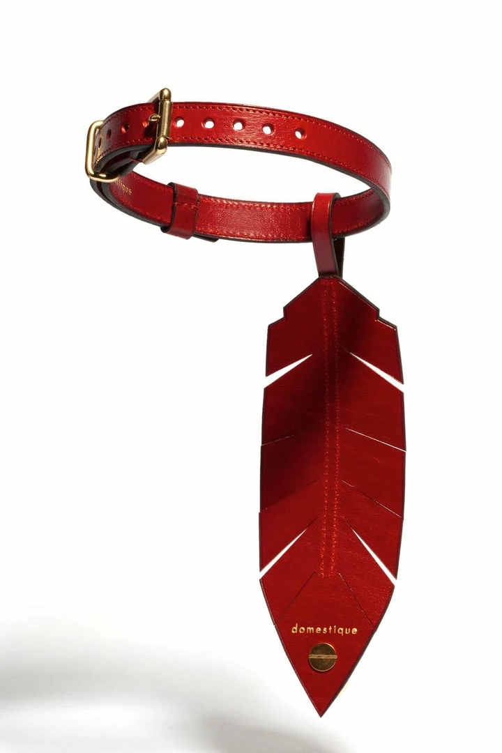 Domestique Rouge-gorge Red Feather Choker Toys & Accessories 4 Domestique Rouge-gorge Red Feather Choker Toys & Accessories
