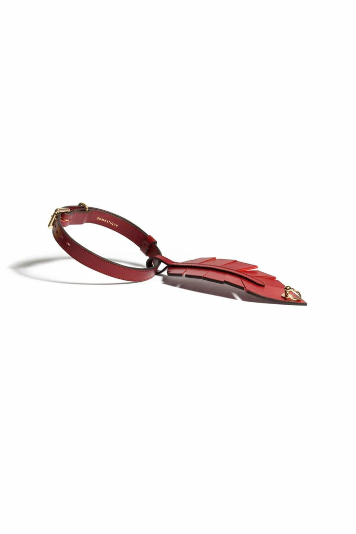 Domestique Rouge-gorge Red Feather Choker Toys & Accessories 5 Domestique Rouge-gorge Red Feather Choker Toys & Accessories