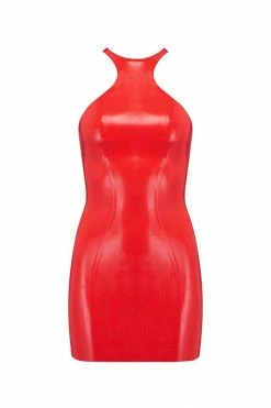 Elissa Poppy Latex Mini Dress 21 Elissa Poppy Latex Mini Dress
