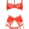 Impudique Libertine French Lingerie Set