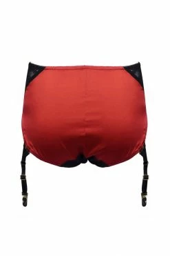 Nevaeh Intimates Fever & Thoughts Garter Briefs 19 Nevaeh Intimates Fever & Thoughts Garter Briefs