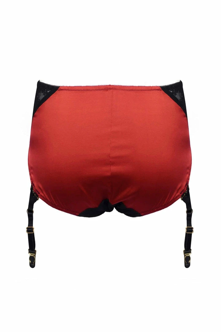 Nevaeh Intimates Fever & Thoughts Garter Briefs 5 Nevaeh Intimates Fever & Thoughts Garter Briefs