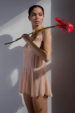 Taryn Winters Nula Sheer Silk Slip Pure Silk