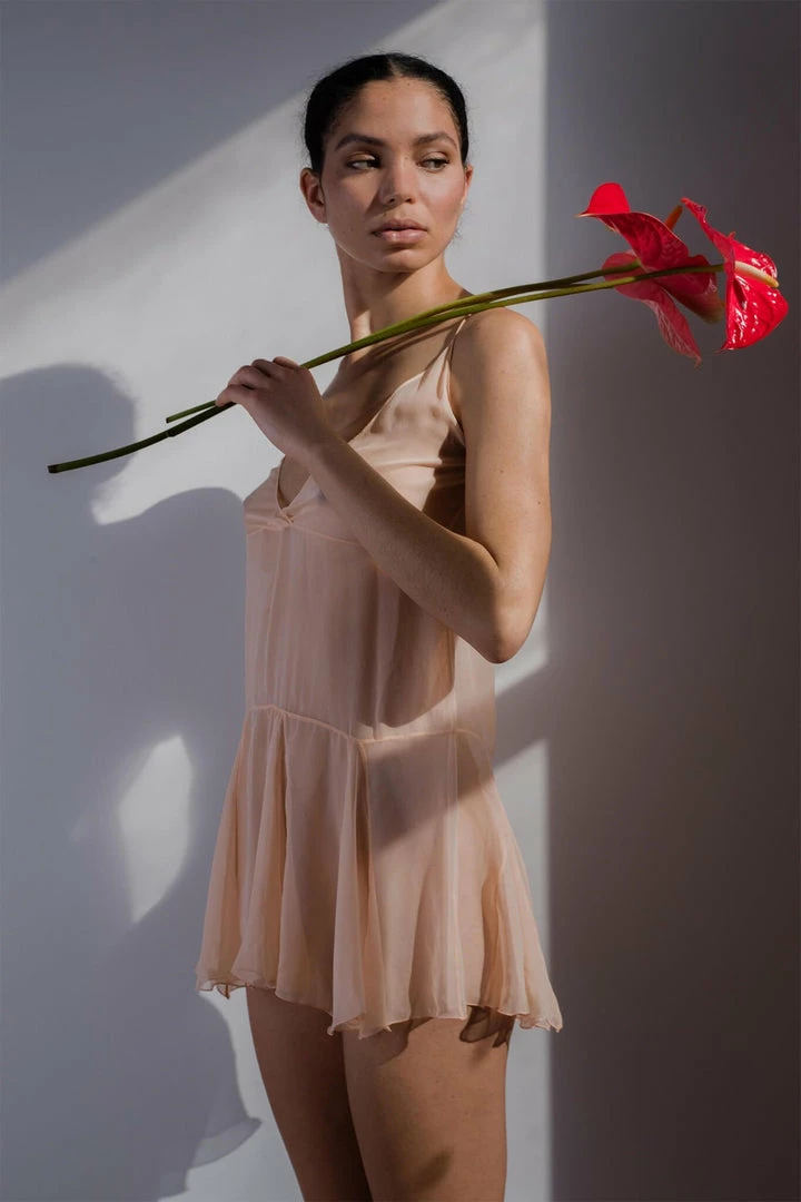 Taryn Winters Nula Sheer Silk Slip Pure Silk 3 Taryn Winters Nula Sheer Silk Slip Pure Silk