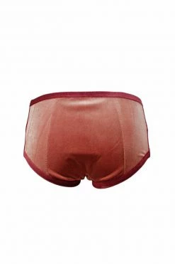 K+1% Panties Smoky Pink Velour Period-Proof Panty 11 K+1% Panties Smoky Pink Velour Period-Proof Panty