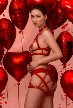 Impudique Cherie Red Lace Tanga BDSM