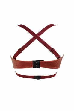 K+1% Smoky Pink Velour Bra Bras