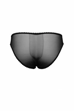 Taryn Winters Colette Sheer Bikini Brief