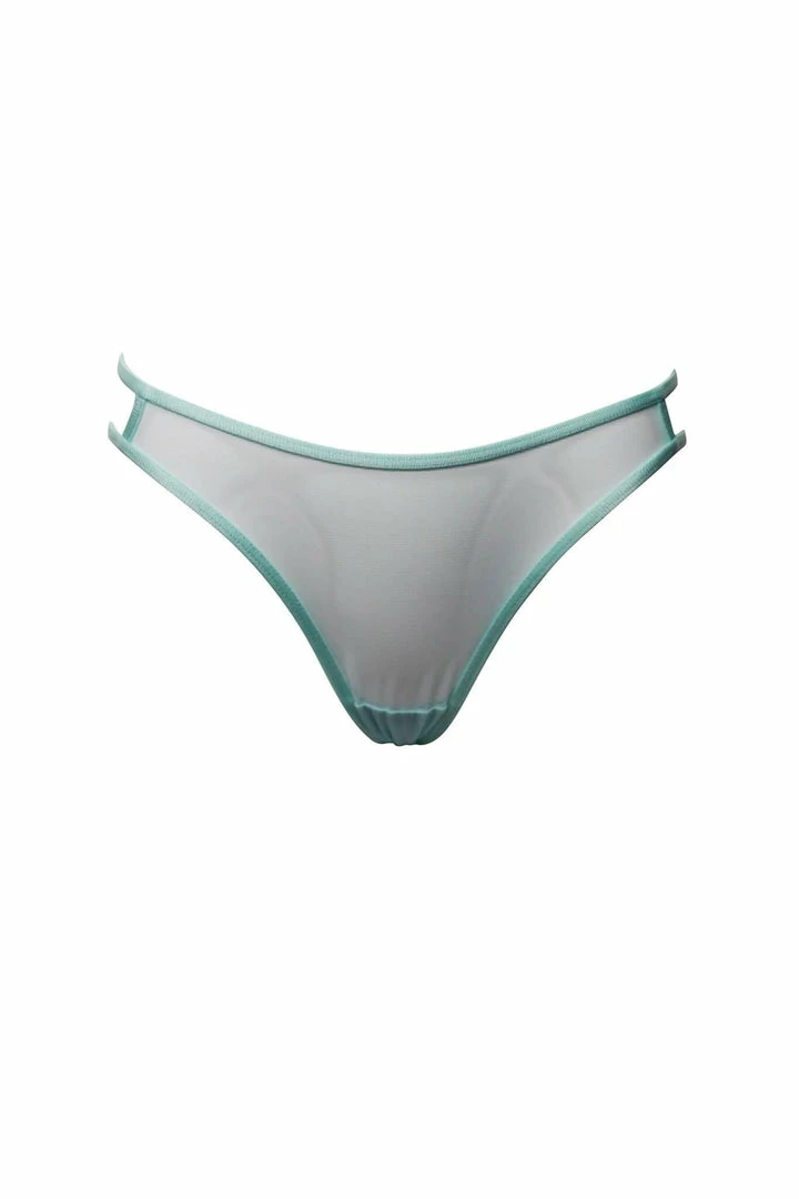 Taryn Winters Kharis Sheer Mesh Thong 5 Taryn Winters Kharis Sheer Mesh Thong