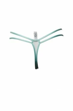 Taryn Winters Kharis Jade Sheer Mesh Thong